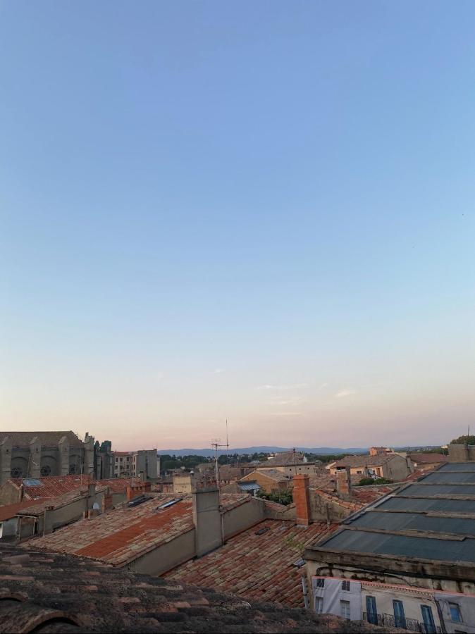 Rooftop Standing Place Carnot Carcassonne Bagian luar foto
