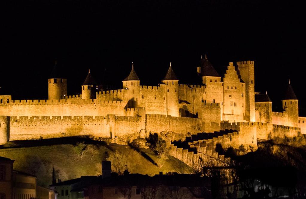 Rooftop Standing Place Carnot Carcassonne Bagian luar foto